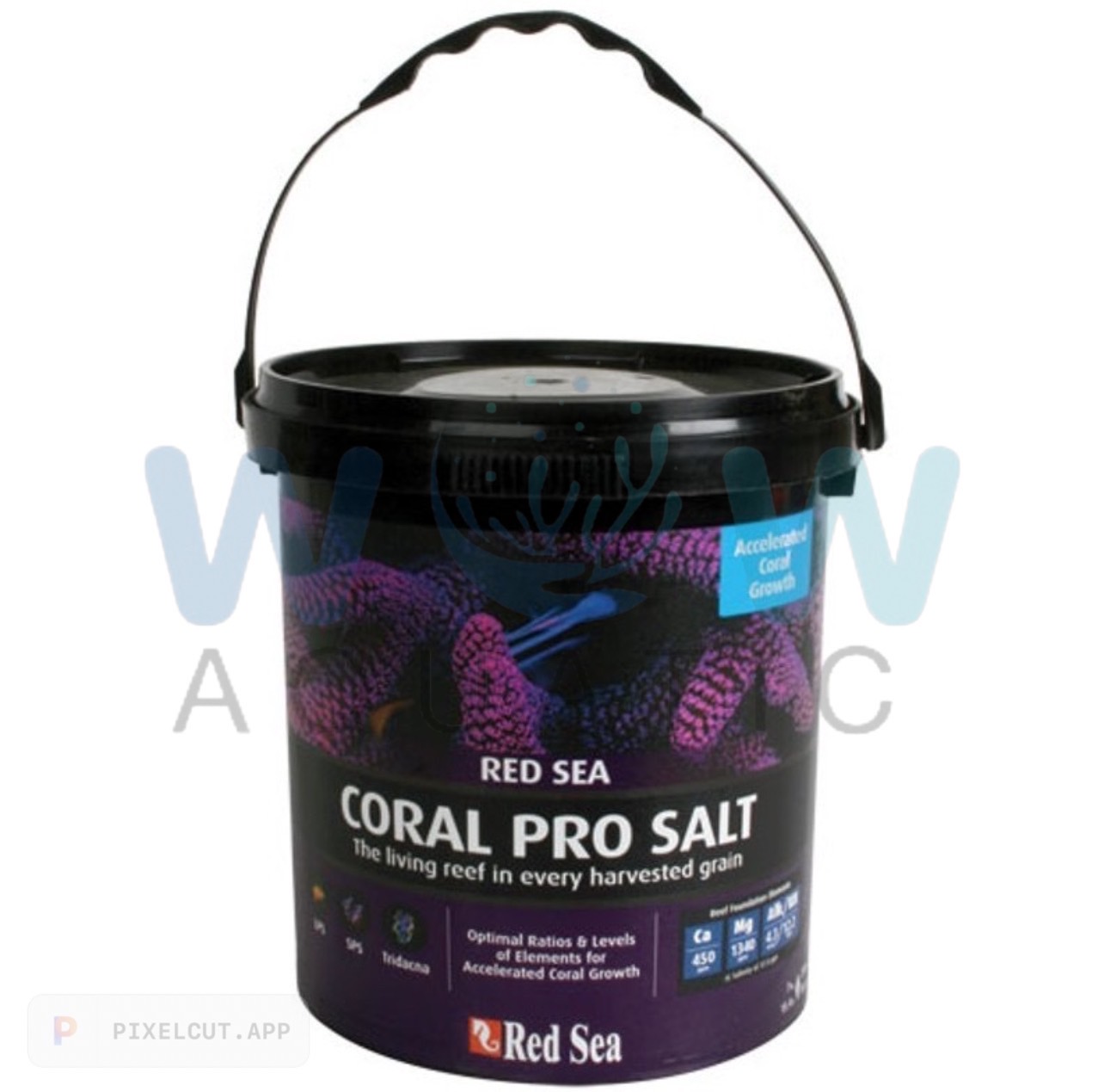 IMG-PRODUCT