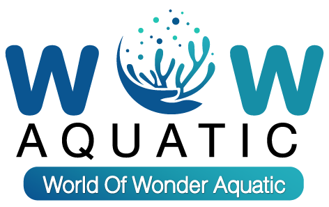 IMG-LOGO
